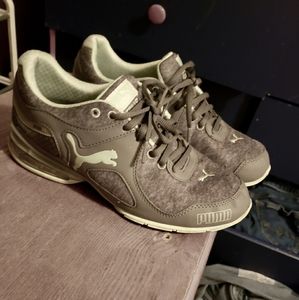 Pumas